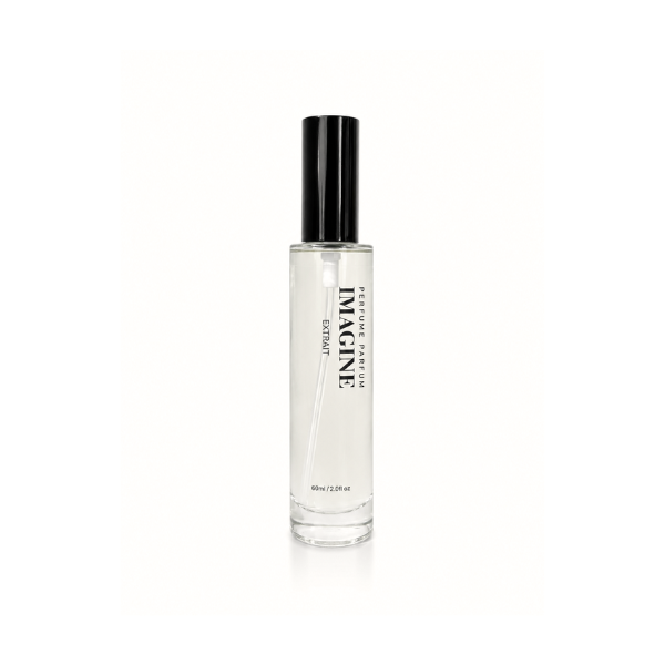 Imagine | Extrait | Inspired By LV Imagination